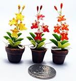 Dollhouse Flower Miniature Oncidium Orchids in Pots Set Made of Artificial Clay Realistic it Very Cute. (3 Pots) by Thai [並行輸入品]