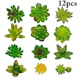 Funpa　12個セット　12タイプ　人工　多肉植物　クリエイティブ　DIY　テーブル　部屋　寮　本棚飾り　グリーン　プラスチック　12*18*2cm