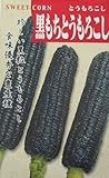 とうもろこし 種 【 黒もちとうもろこし 】 種子 小袋（約20ml）