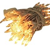 Zitrades Christmas Lights 50 Clear Bulbs Mini String Lights Set Indoor Outdoor Lighting with Warm Wh