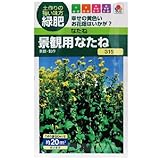 【緑肥】景観用なたね 小袋(約20ml)