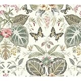 York Wallcoverings on1602 Tropical蝶壁紙Neutral /レッド