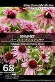 【種子】 Prime Perennial Collection エキナセア　パープレア ダブルデッカー Life with Green