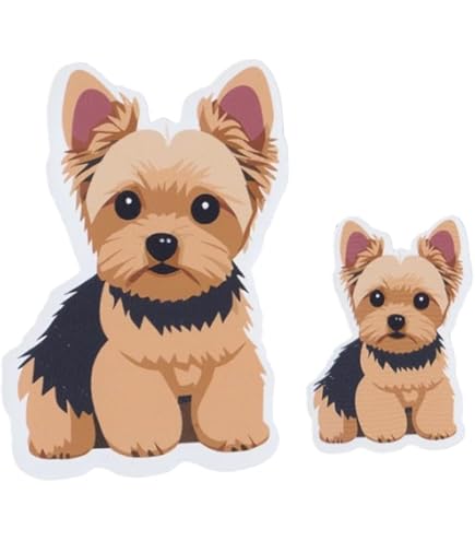 ヨークシャーテリア　額付プリント　アメリカン　シリアルナンバー付き 千葉県のヨークシャーテリアの子犬を探す｜ブリーダー直販の子犬