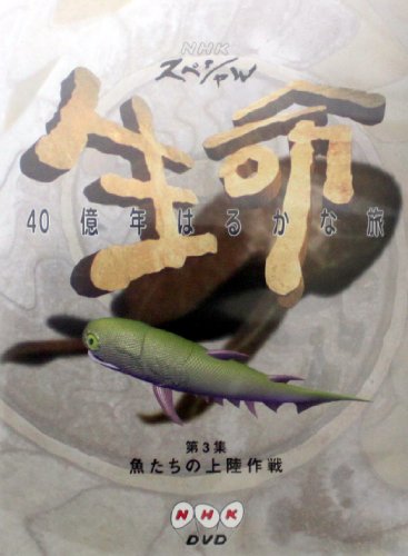 NHKスペシャル 生命40億年はるかな旅 第3話:魚たちの上陸作戦 | NHK