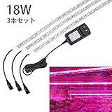 Lovebay 植物育成ライト LEDテープ フレキシブルタイプ 赤青ライト 室内外植物栽培用 観葉植物水草水槽照明など適用 IP65防水レベル 3本セット 6W/本 PSE認証されたアダプターと日本