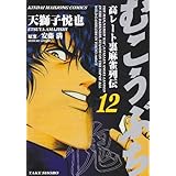 むこうぶち 高レート裏麻雀列伝 11 近代麻雀コミックス 天獅子 悦也 安藤 満 本 通販 Amazon