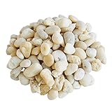飾り石 マルチングストーン 玉砂利 ナチュラルホワイト 中粒 1ｋｇ 防草 睡蓮鉢底石 687u