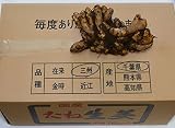 種生姜 千葉県産 三州生姜 10kg