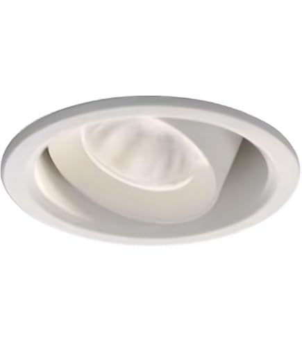 Amazon.co.jp: 大光電機 DAIKO ユニバーサルLEDダウンライト 準耐火