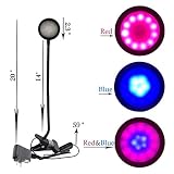 TCD Tech 10W LED 植物成長ライト調節可能ブルー ・ レッド成長ライト、観葉植物の水耕庭の温室、庭園愛好家の友人と子供のための大きいギフトのクランプと柔軟なグースネック デスクトップ デ