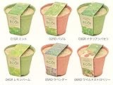 [植物 栽培 栽培セット ガーデン 手軽 癒し グリーン　ハーブ]育てるハーブ　エコット（Ｓ）　ワイルドストロベリー