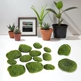 Haofy 苔石 コケ石 人工 水族館 盆栽 ガーデン 装飾 置物 植物装飾 シミュレーション 12個入り蘚類盆栽庭の偽の緑の苔覆われた石DIYの風景の装飾（12個 緑）