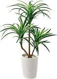 ポピー 観葉植物の造花 ロングユッカオーバルポット GLA-1230