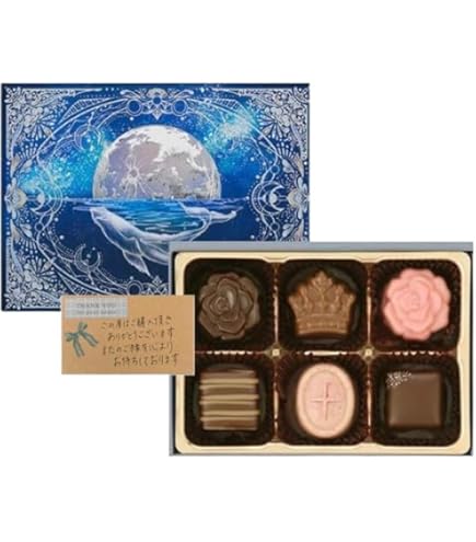 Amazon.co.jp: 【2種セット専用袋付】2026 ナハトラビュリント