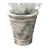 COVENT GARDEN バビロン・アルトポット PJ-88