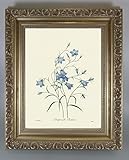 BiblioArt Series　P.J.ルドゥーテ 「イトシャジン」 金縁額装品