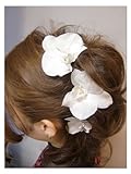 【プリザーブドフラワー/ヘアアクセサリーシリーズ/本当の胡蝶蘭の髪飾り】特別なあなたのために。幸せを運ぶ白い胡蝶蘭の魔法の枯れないお花の髪飾り【メッセージカード無料 ラッピング付き】