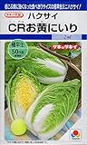 【種子】 ミニハクサイ（白菜） CRお黄にいり タキイのタネ