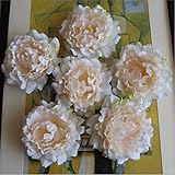 5ピース14 cm牡丹フラワーヘッドシルク人工大きな花ウェディングデコレーションDIY装飾花輪フェイク花壁 One Size イエロー SEDFGJ32833427548