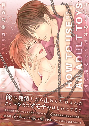『オトナのオモチャの使い方~トラックで野郎~』1巻