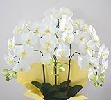 光触媒 【胡蝶蘭】 ギフト 【造花】 胡蝶蘭Ｌ３本立て 白 【ＣＴ触媒加工】