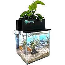 水換えの要らないビオトープ 楽天市場】【本日5倍】 水換え不要 水槽セット せせらぎ