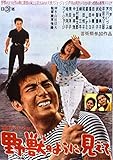 「芦川いづみデビュー65周年」記念シリーズ:第2弾 硝子のジョニー 野獣のように見え...[DVD]