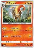 ポケモンカードゲーム SMI 005/038 カエンジシ スターターセット 炎のブースターGX 水のシャワーズGX 雷のサンダースGX