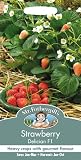 MFVE 英国ミスターフォザーギルズシード Strawberry Delician F1 ストロベリー・デリシアン・F1
