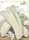 野菜の種 カルドン（カルド）・インテラ