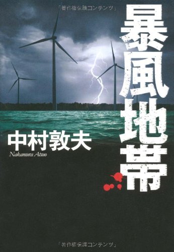 中村敦夫:暴風地帯