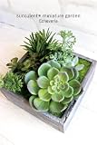 Succulent＊多肉箱庭＊エケベリア＊多肉植物 0203　造花 人工観葉植物 フェイクグリーン 消臭＊CT触媒