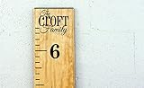 おもちゃ Family Name DIY Vinyl Growth Chart Ruler Decal Kit [並行輸入品]