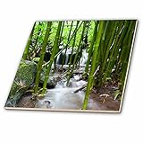 Danita Delimont – フローラ – フローラ、Bamboo Forest Waterfall、ハレアカラ国立公園、マウイ – us10 jgs0016 – Jim Goldstein –