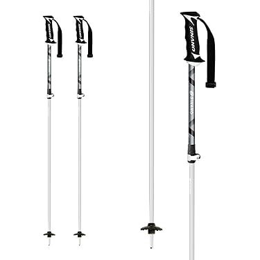 ポール　シナノSL用&レジェンド　オールラウンド用　スキーストック　2セット ポール シナノSL用&レジェンド オールラウンド用 スキーストック 2