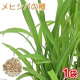 メヒシバの種(1袋)猫草 うさぎ 犬 猫 おやつ 種子