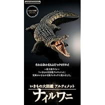 【新品/未開封】 いきもの大図鑑 アルティメット ナイルワニ 抽選販売】いきもの大図鑑アルティメット ナイルワニ | フィギュア