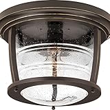 Progress Lighting P5638-108 Traditional/Casual 1-100W Med Outdoor Ctc, Oil Rubbed Bronze by Progress