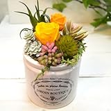 【ギフト】プリザーブドフラワー ローズ×多肉植物（フェイク）　[Yellow-G Plants] (寄せ植え)　多肉　プリザ　観葉植物