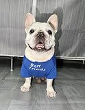 RIOSTUDIO 犬服 春 夏 (S～XXLまで5サイズ展開) 犬の服 夏用 Tシャツ シンプル 涼しい 通気 おしゃれな英文字プリント わんこ服 小型犬 中型犬 大型犬 猫服 防虫 抜け毛防止 ルームウェア 犬用(③[BestFriends]×コバルトブルー,XXL)