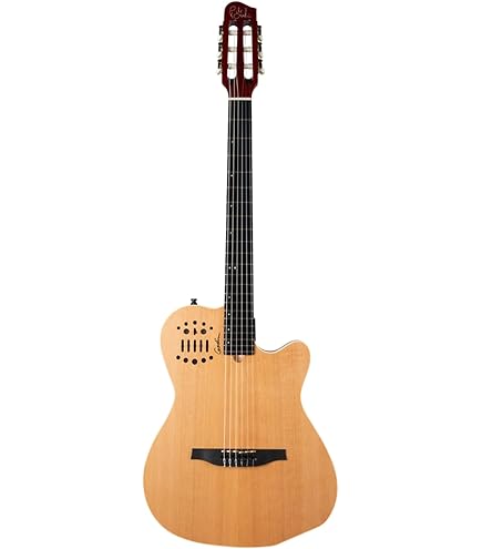 Amazon | Godin (ゴダン) エレガットギター ナイロンギター Multiac