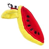 Sassy Freezies Terry Teether, Watermelon by Sassy [並行輸入品]