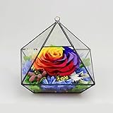 DeFancy Preserved Fresh Flower House Best Gift for Valentine's Day Mother's Day Anniversary Day (Rai
