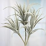 工場直接クラフトのグループ2 Flocked人工多肉植物Stems for Crafting、Arranging and Embellishing