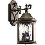 Progress Lighting p5649 Ashmore 2ライト屋外壁取り付け用燭台with SeedyガラスSha、 P5649-20 1