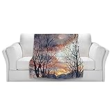 ブランケットウルトラソフトFuzzy 4サイズ！DIANOCHEデザインからby Anne GiffordホームDecor Unique Designer芸術的スタイリッシュな寝室アイデアCouchま