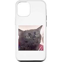 iPhone - 黒猫@@@ Amazon.co.jp: iPhone 15 対応 ケース 手帳型 スマホケース