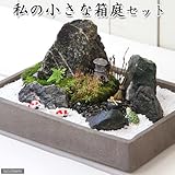 (観葉)私の小さな箱庭セット 本州・四国限定[生体]
