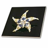 フローレンDecorative – ダイヤモンドとブルーサファイアスター – タイル 4-Inch-Ceramic ct_34757_1